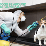 Can Dogs Be Around Pest Control? Understanding Its Impact on Dogs